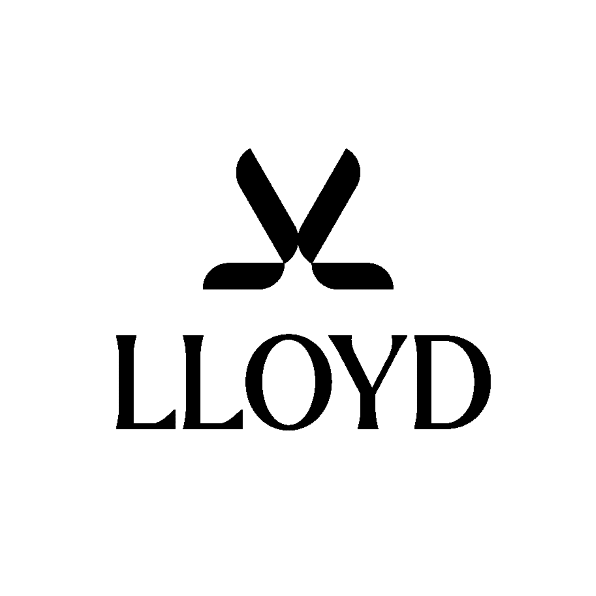 lloyd DE Coupons